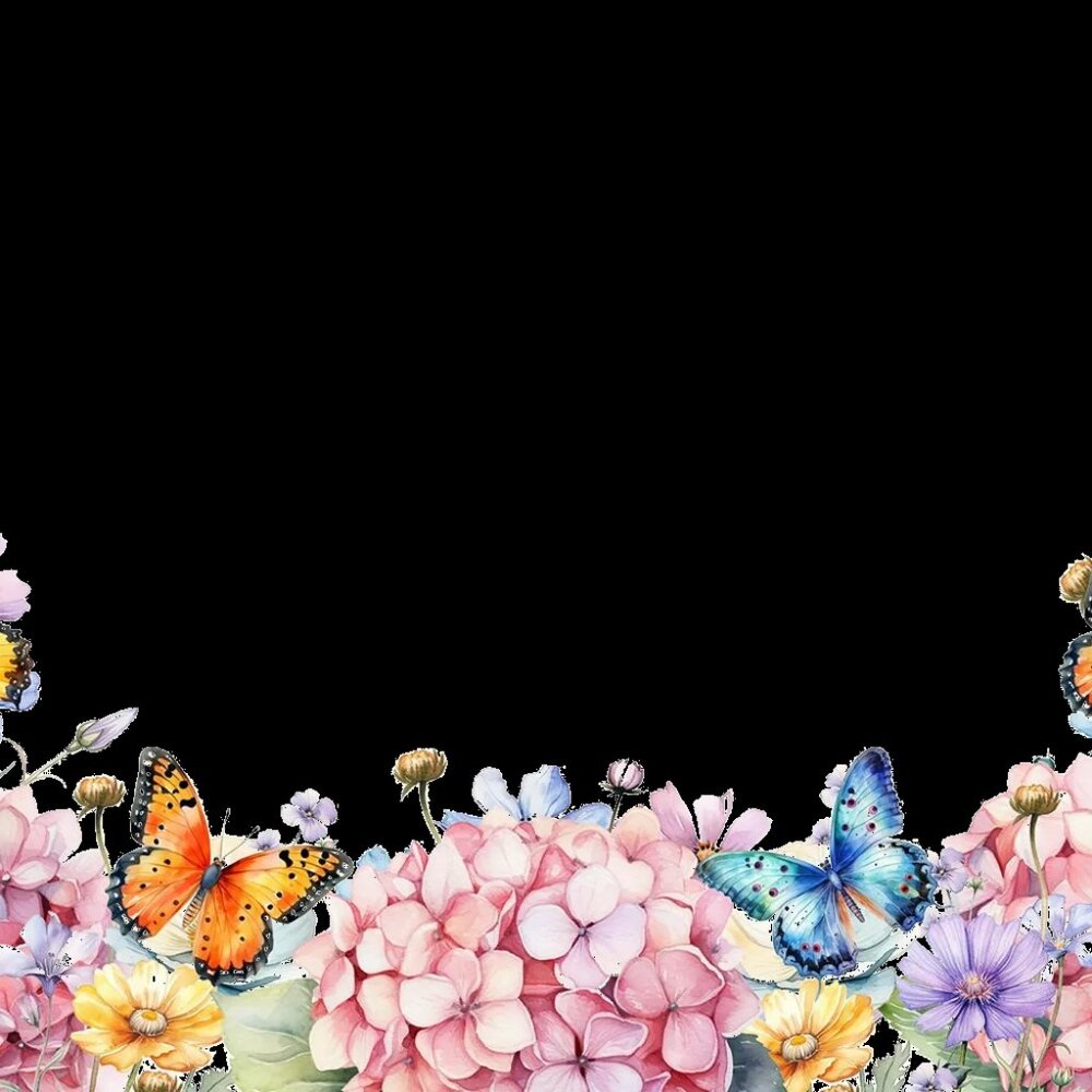 NWT NBA Utah Jazz Windbreaker 2XL